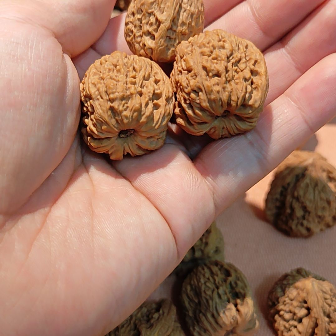 盛***意核桃高炮南疆石，小子弹