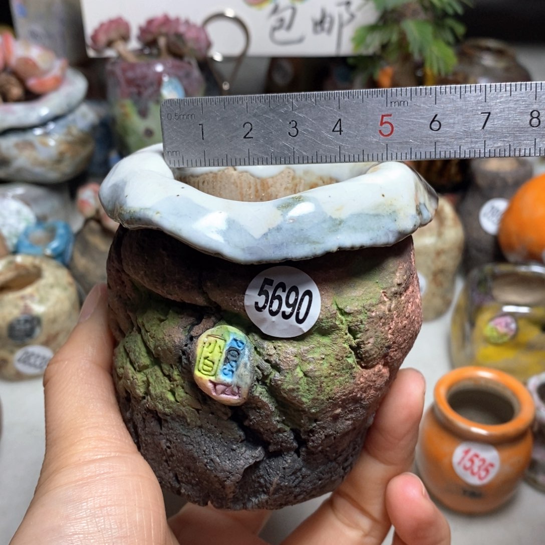 双12活动花盆不退不换，原82