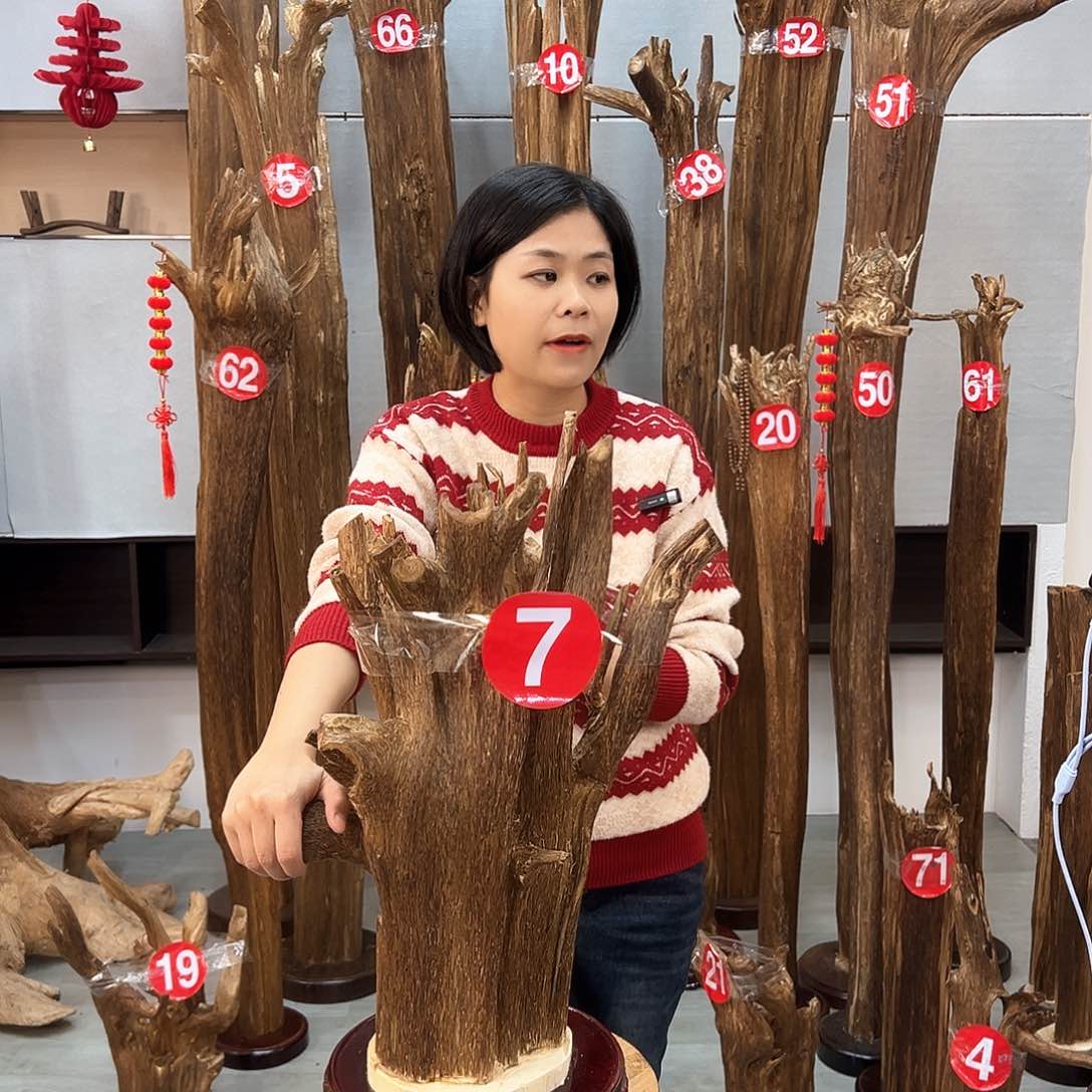 沉香摆件用****8沉香摆件