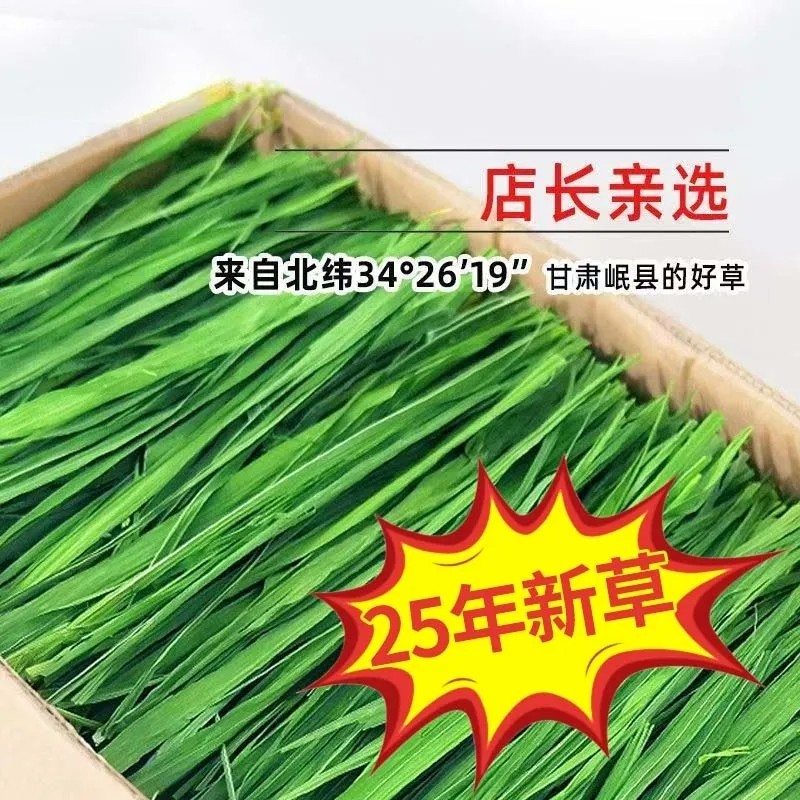 今年新草提摩西烘干兔兔龙猫荷兰猪豚鼠宠物营养主食
