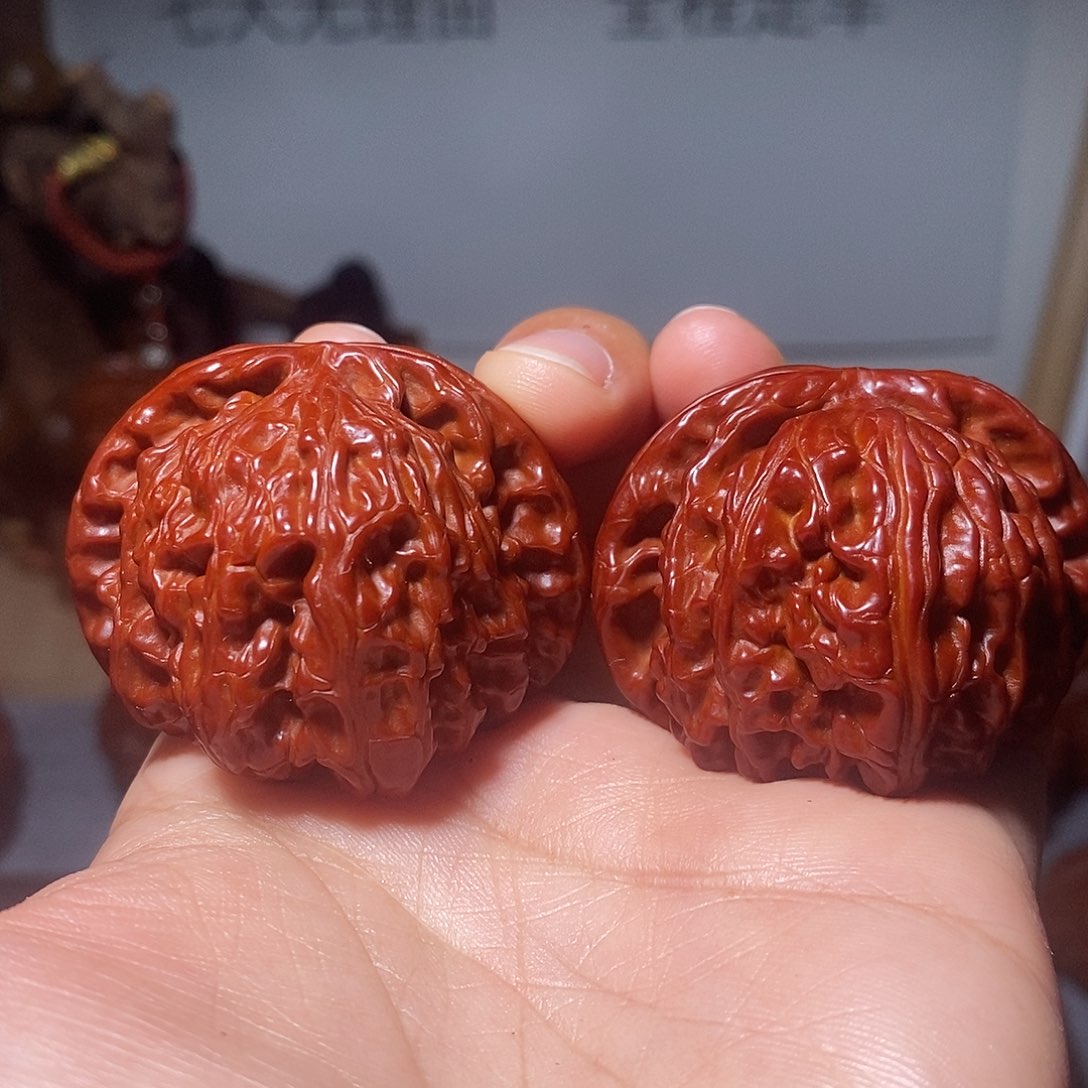 驻***守核桃白狮子111111111