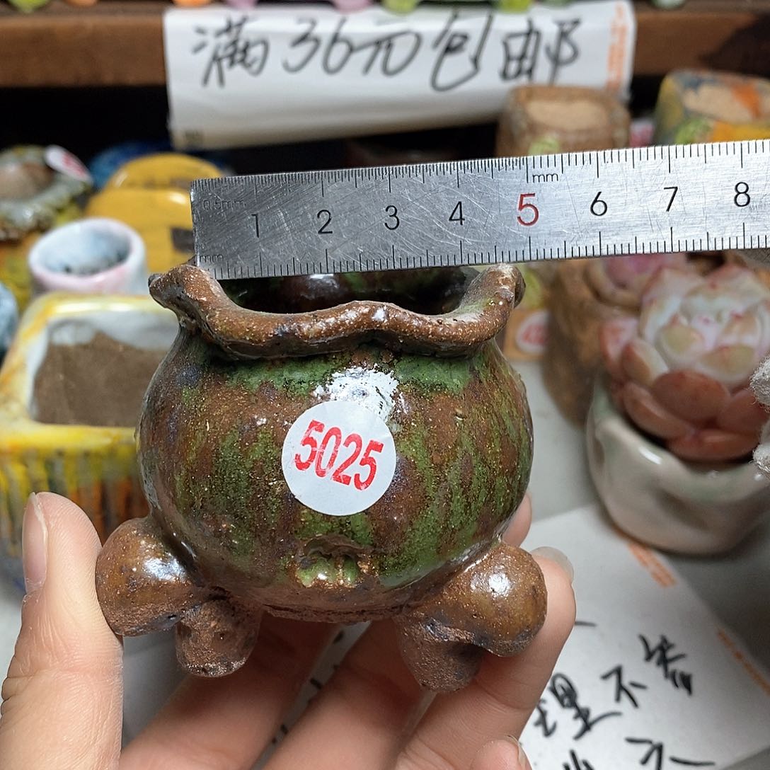 红陶拍5送一个小