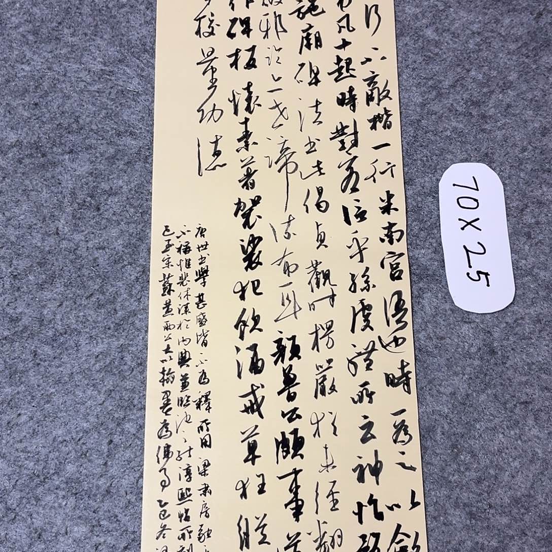 书法国展书家廖老师70×24