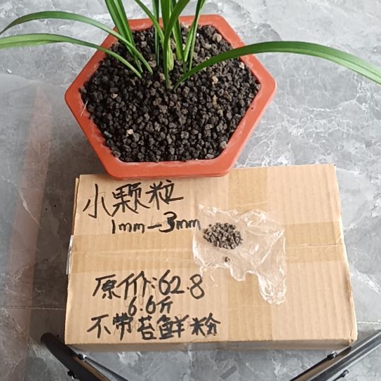 左***！兰菌黑山土小颗粒6.6斤