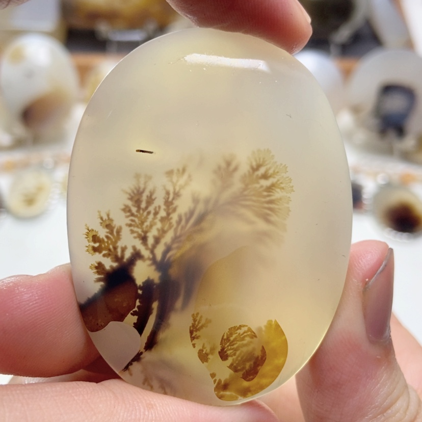 【闪购商品】玛瑙/玉髓颈饰未镶嵌