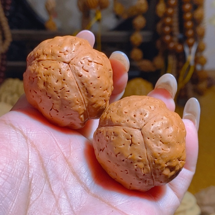 转***角野生三瓣大金刚把件