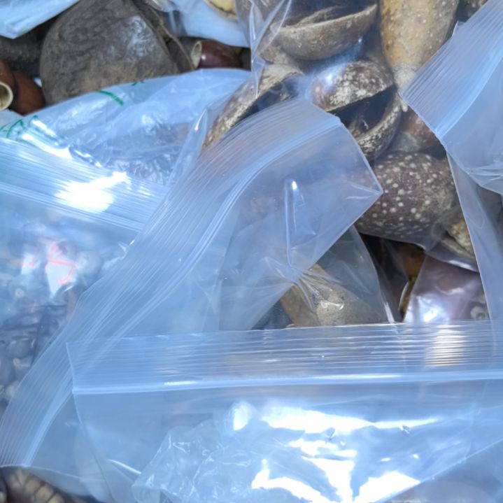 珍***子柏香籽/百香籽吊坠菩提散珠自选菩提散珠