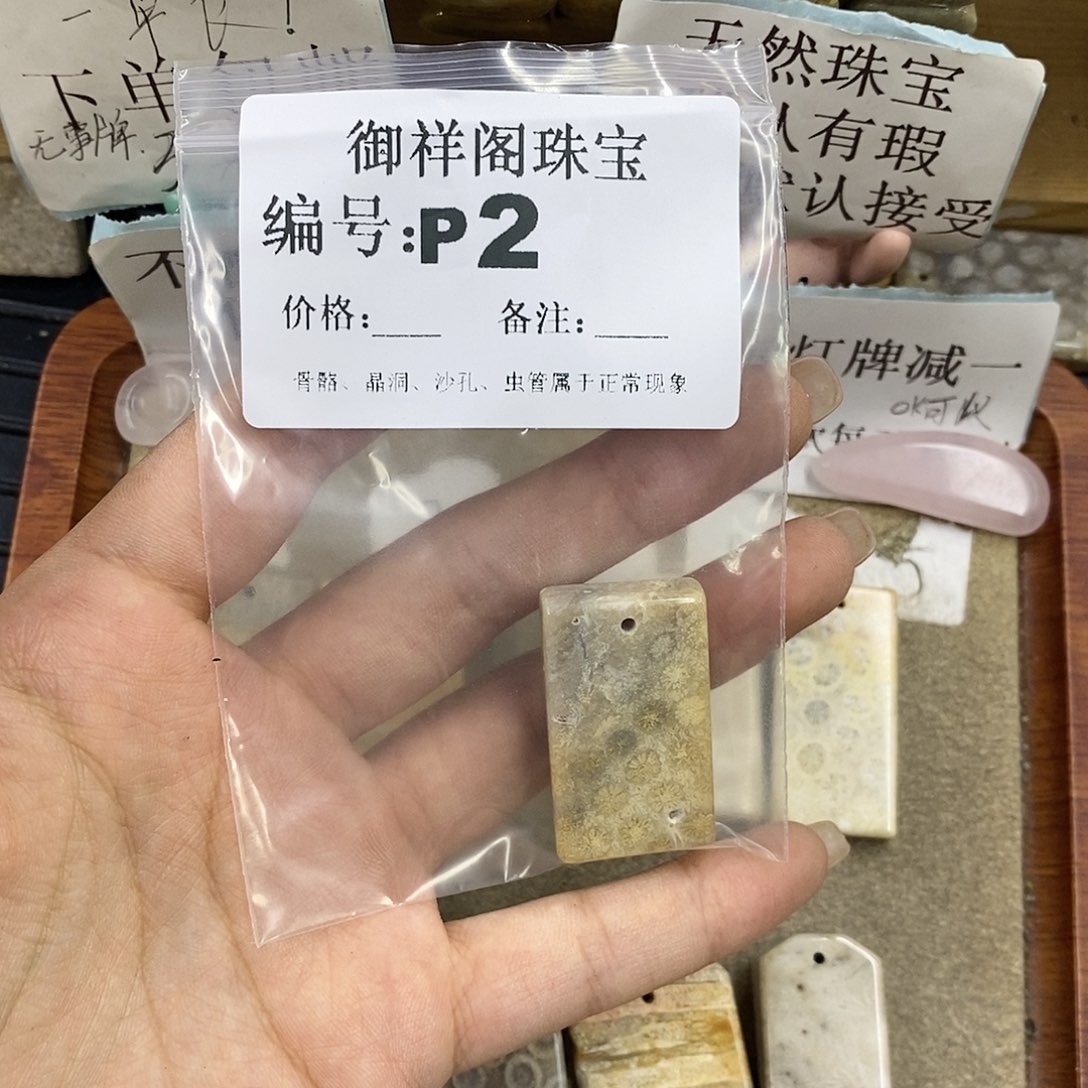 硅化珊瑚（珊瑚玉）未镶嵌颈饰C***e