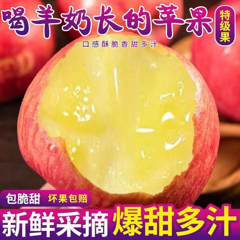 羊奶苹果，新鲜当季水果，第一层大果，第二层小果山西省