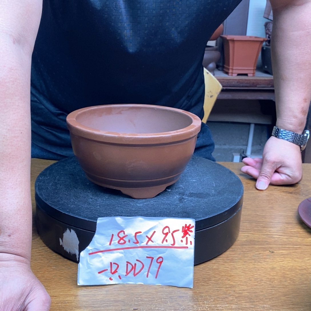 紫砂货号一只DD79