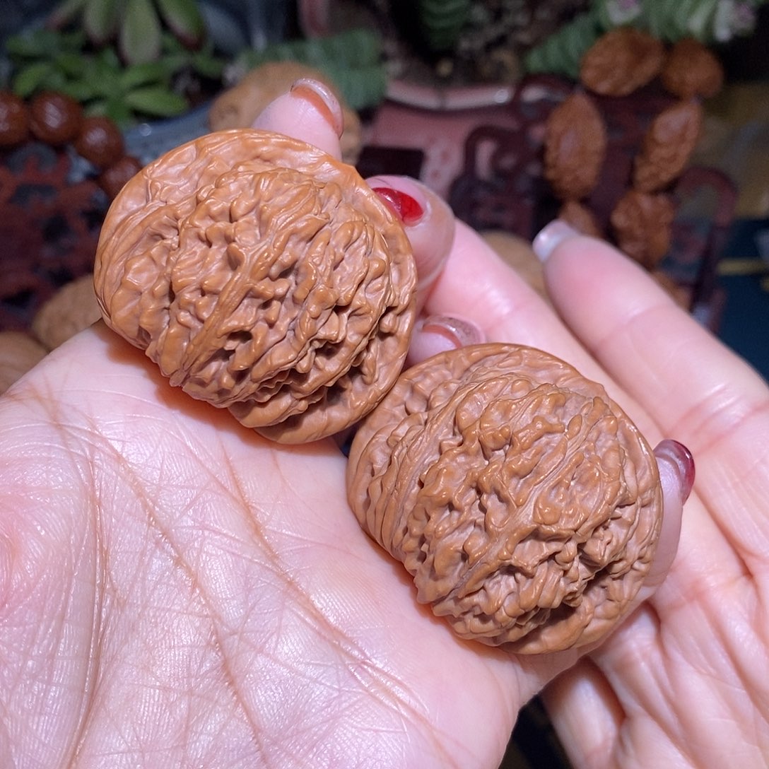 文玩核桃把件43楼子