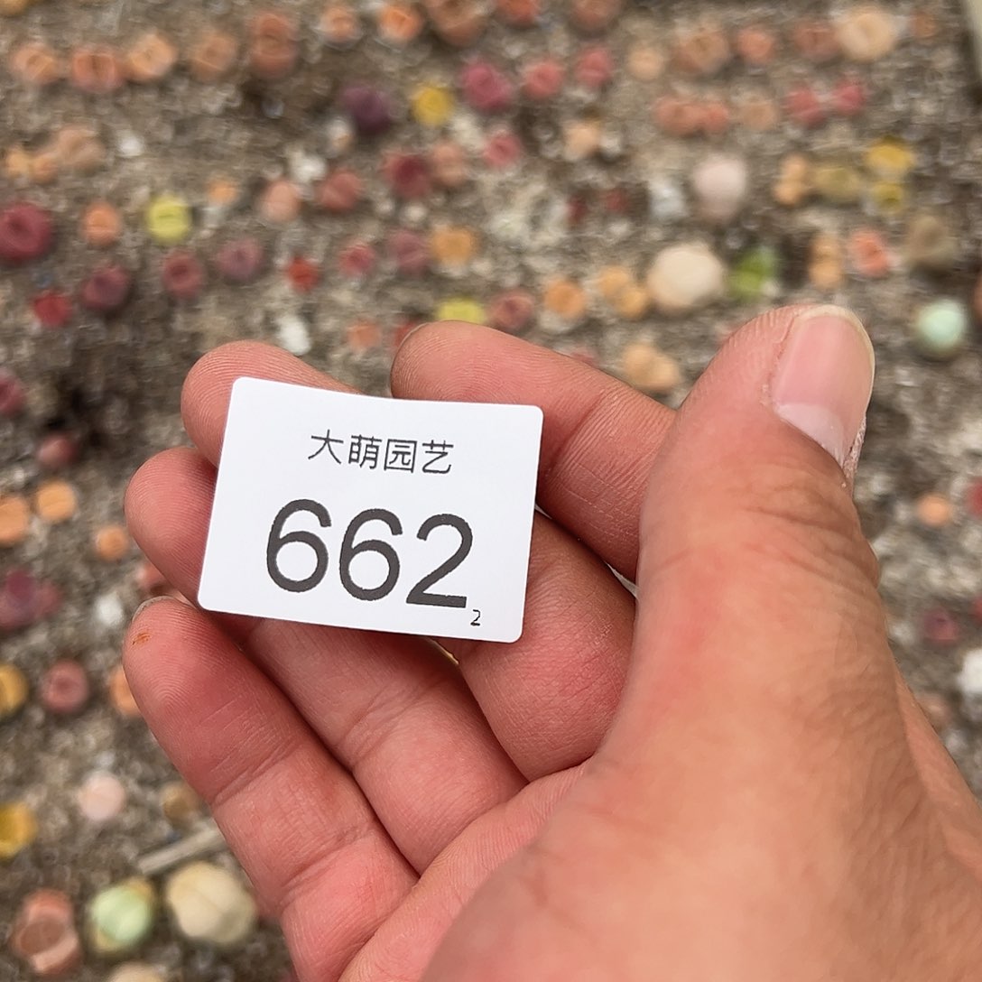 0000662 清框脱土发无售后