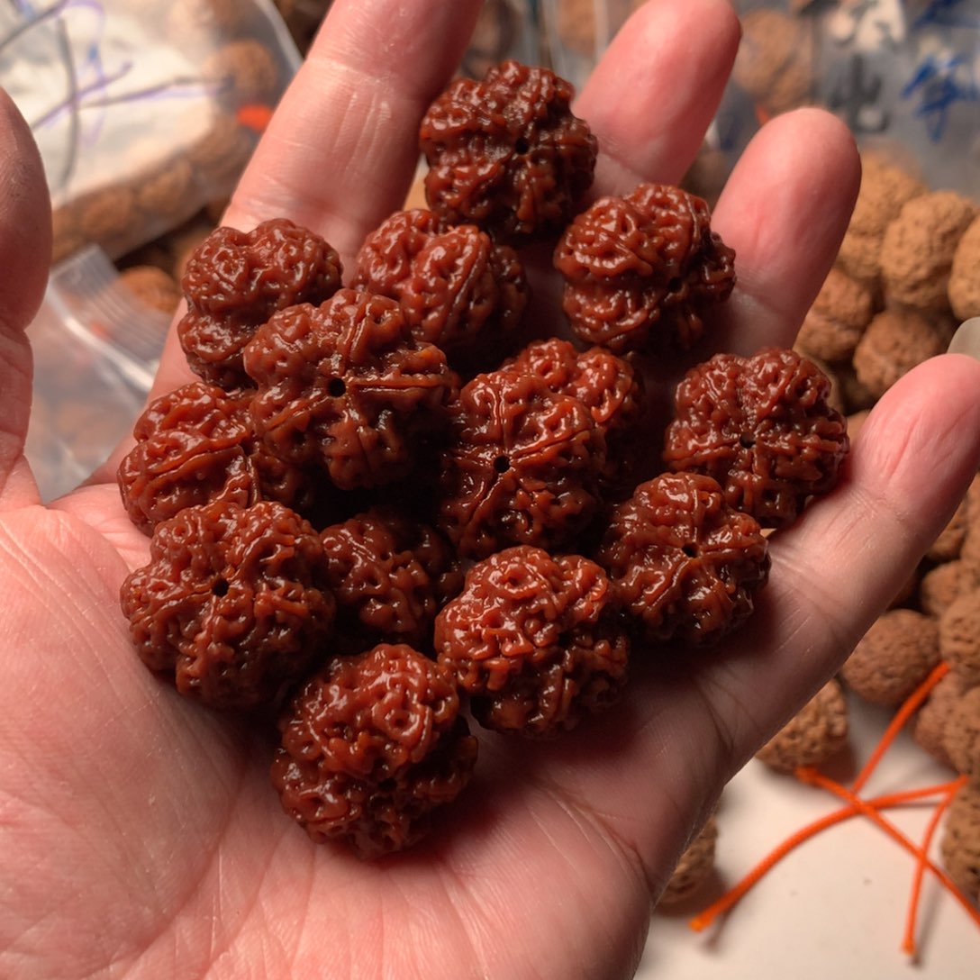 金刚菩提手串22龙爪梅花超头