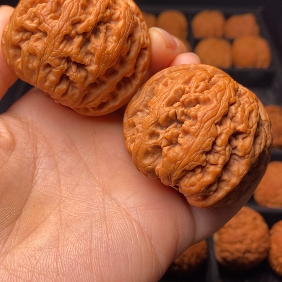 文玩核桃把件秦岭野生核桃