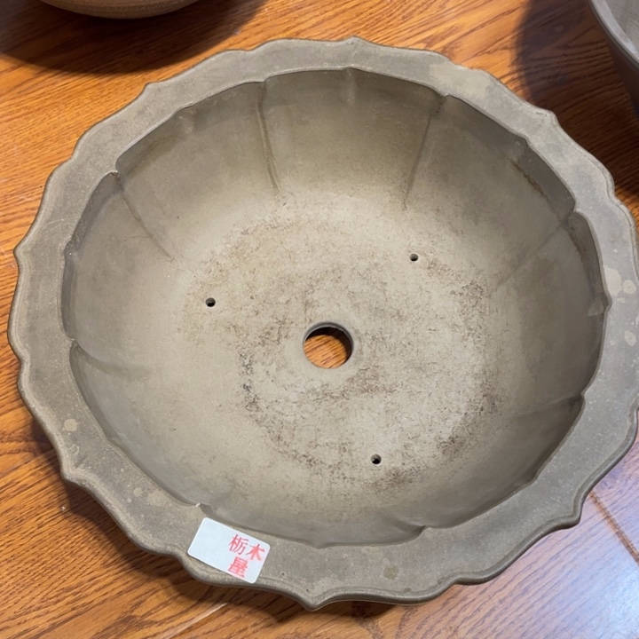 瓷片有款有磕瑕疵价瑕疵