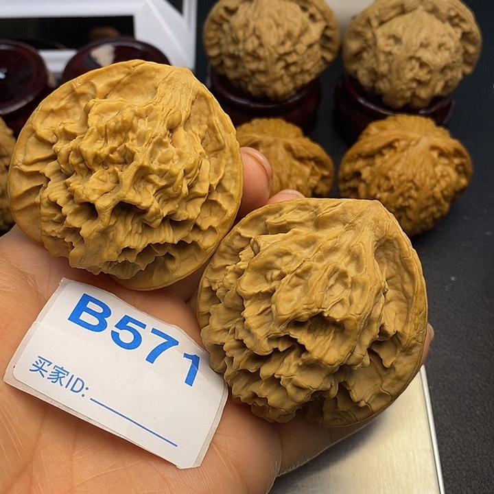 核桃帝王5.3，5.1，克重66