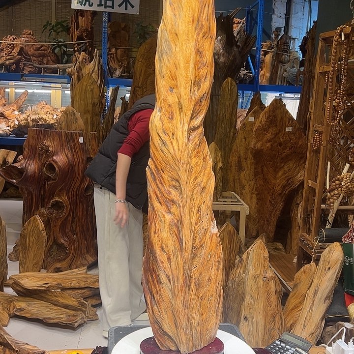 松木（琥珀木）龙*