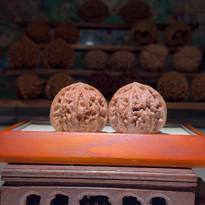 42.5全品白狮子三角白