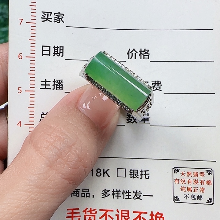 翡翠颈饰未镶嵌天然