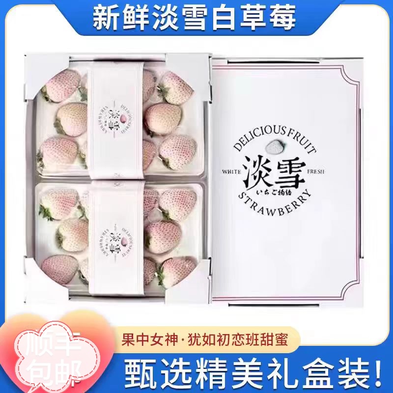 升级版【淡雪白草莓】当季头茬草莓高端系列礼盒装送礼佳品水果
