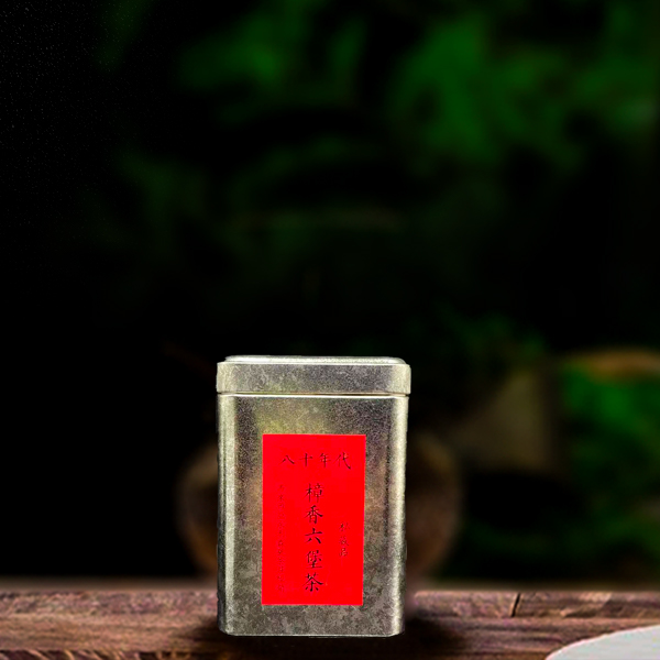 八十年代樟香六堡茶100g