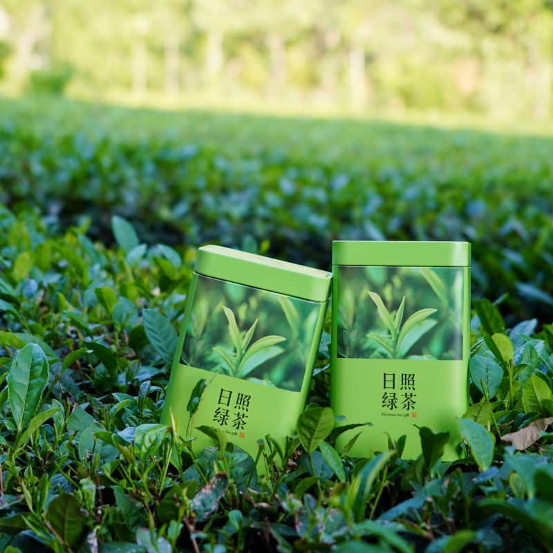 日照绿茶2024新茶浓香型板栗香茶叶高山绿茶罐装250g    