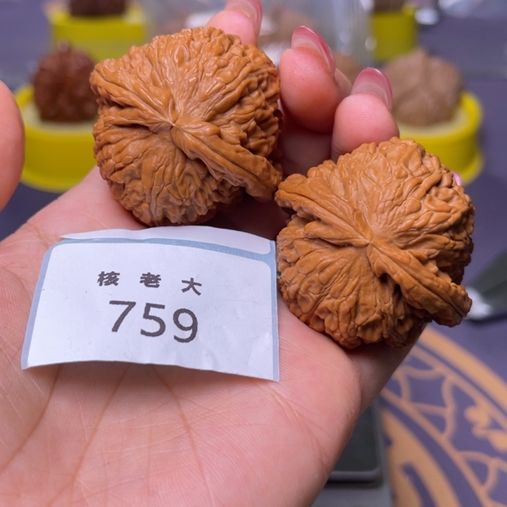 文玩核桃把件白狮子42.759