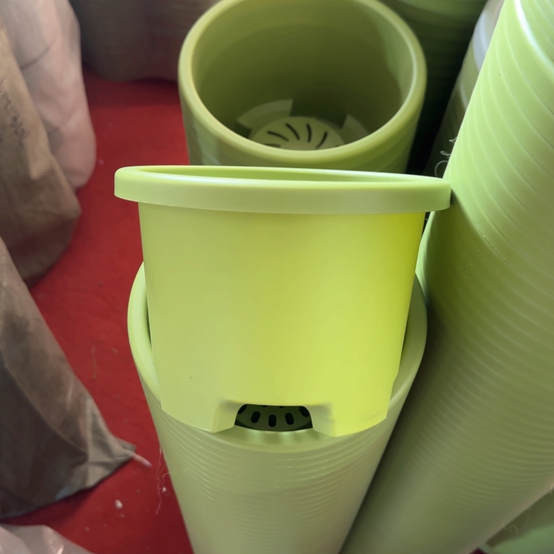 树脂球根1#果绿无拖5个