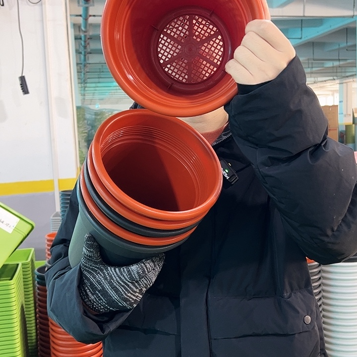 特价翻边口21高22陶红无托6只