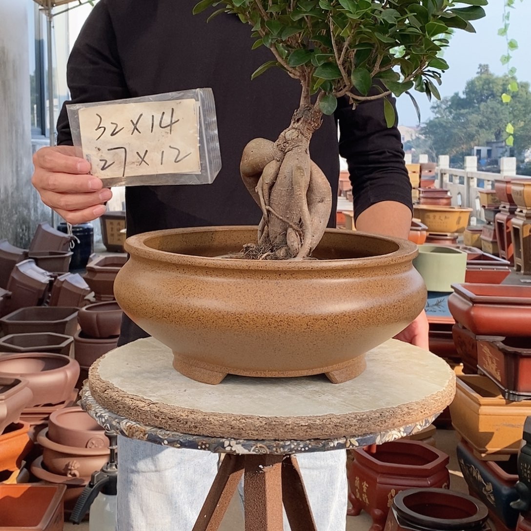 花盆紫砂紫砂花盆