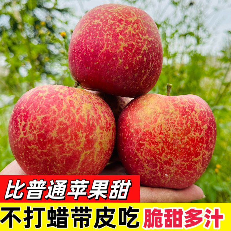 冰糖心丑苹果新鲜现摘脆甜多汁皮薄肉厚水果