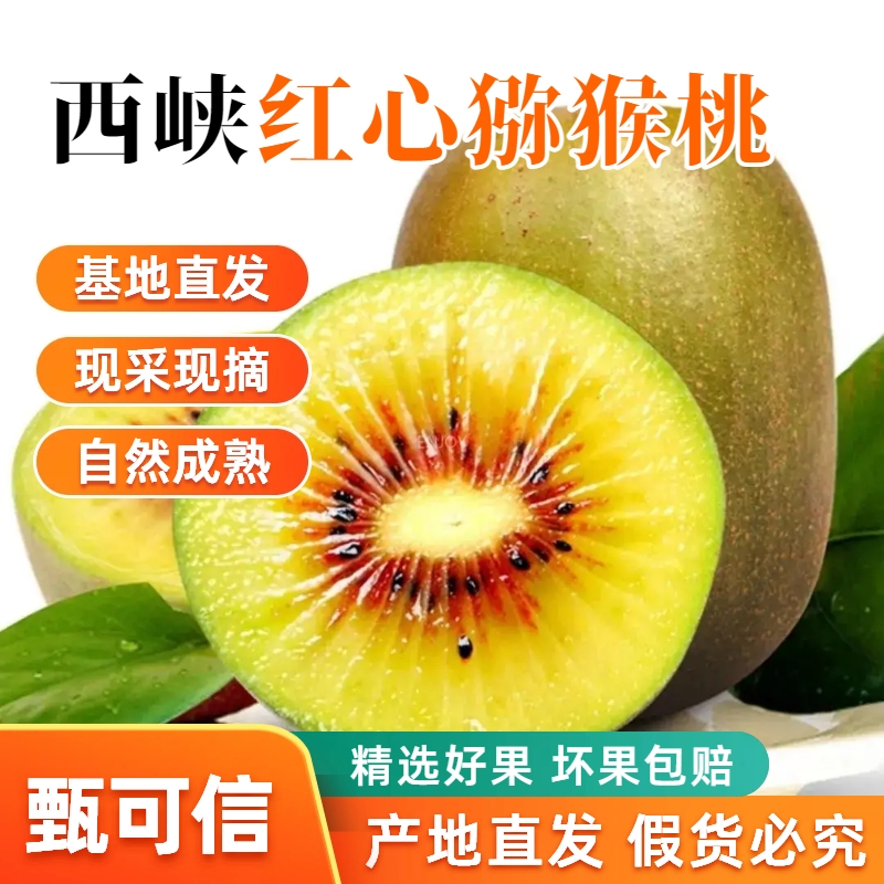 甄可信西峡红心猕猴桃新鲜水果奇异果西峡当季孕妇水果无毛包邮