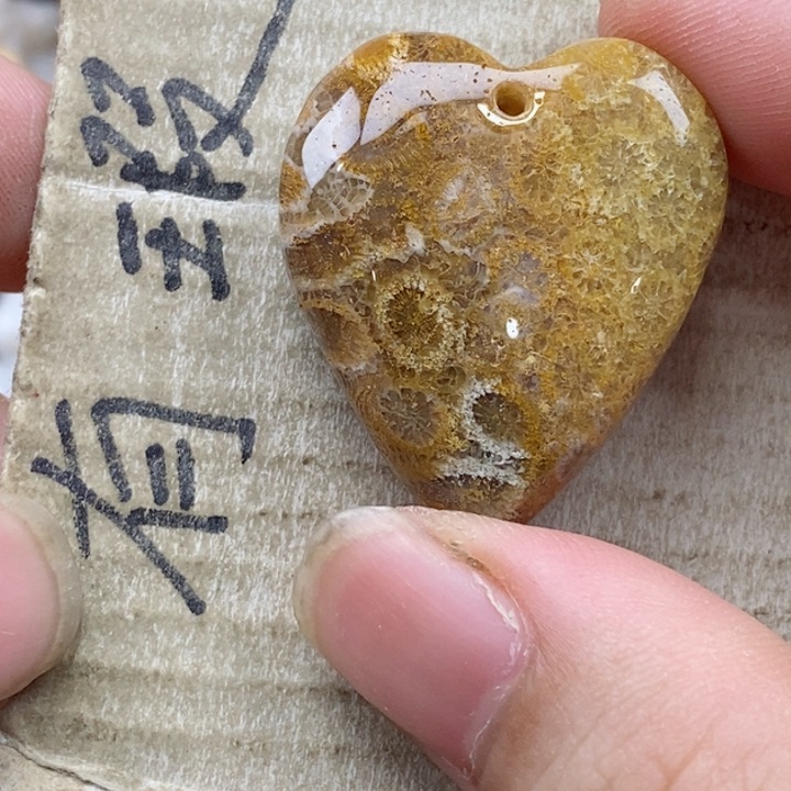 颈饰未镶嵌硅化珊瑚（珊瑚玉）幸****8小
