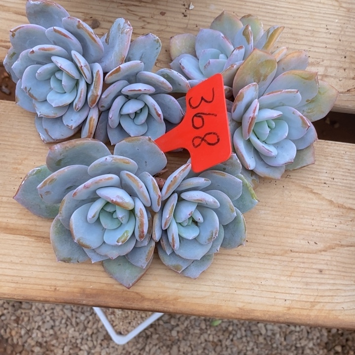 这个点吃晚饭真的有点晕