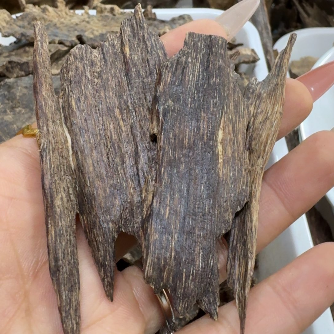 四***木沉香沉香碎屑海南沉香树心油虫漏10.3克