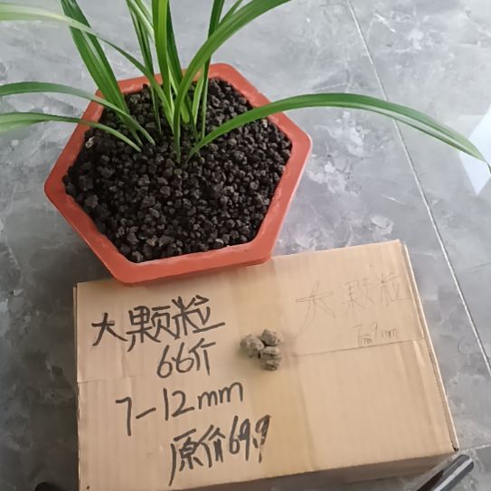 情***怀兰菌黑山土大颗粒6.6斤