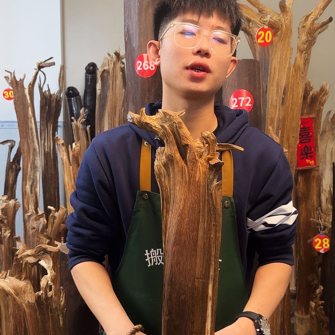 沉香摆件天然沉香原木摆件➕底座