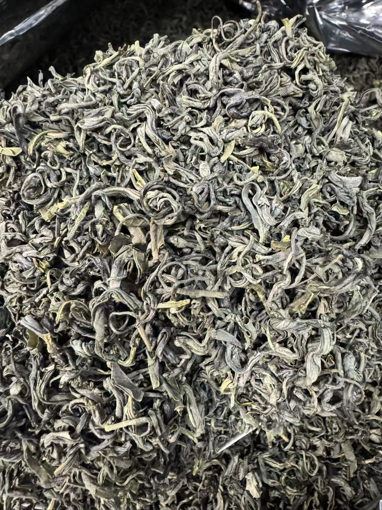 揭西大洋炒春茶擂茶叶炒绿茶