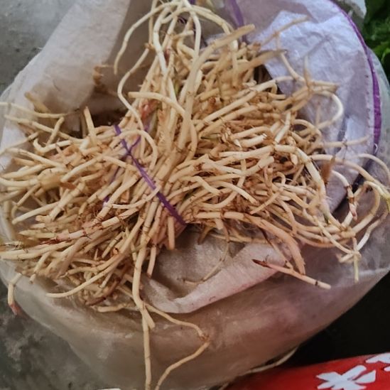 中国大陆龙场本地野味9折耳根2斤装