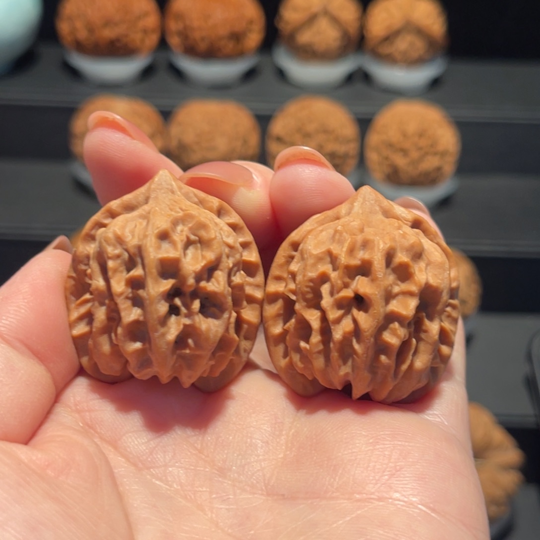 张***歌曹大龙32精品，全品638