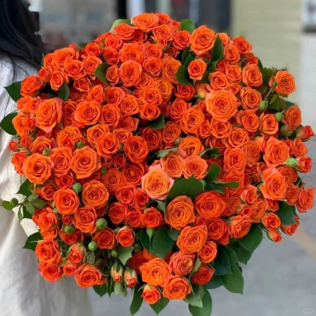 （曼曼）橙色芭比多头玫瑰8支+2支 防损 1单包邮