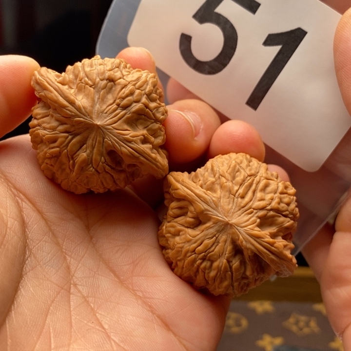 核桃51号，全品40磨盘