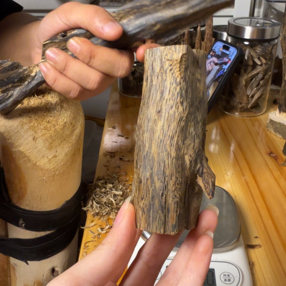 沉香乌身虫漏香41克