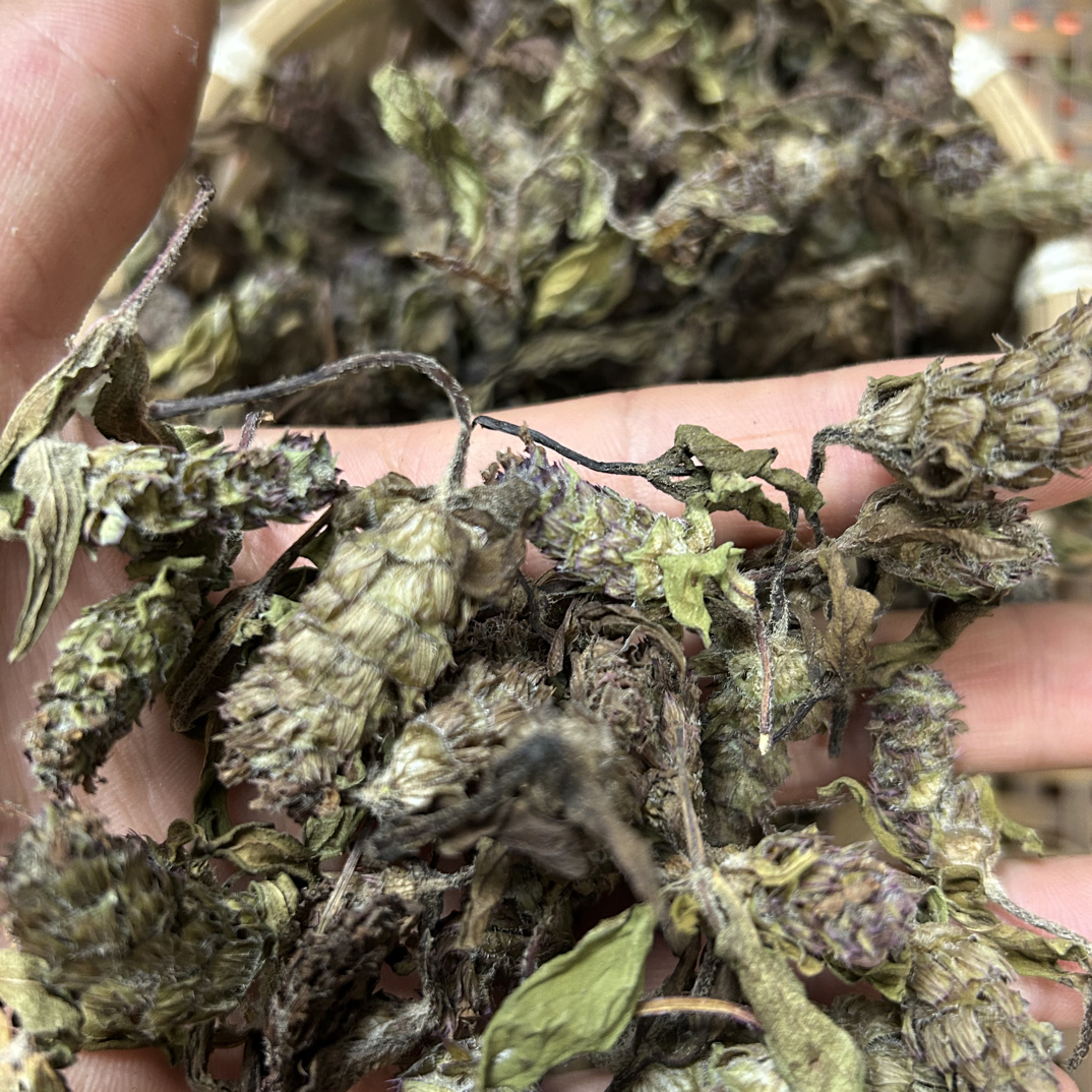 山边野货夏枯草新鲜天然