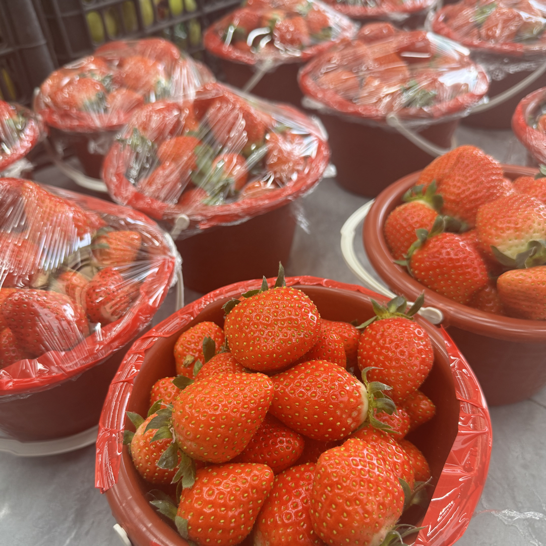 香野草莓一桶（2斤左右）