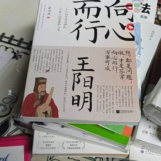 王阳明向心而行平装（务必塑封）