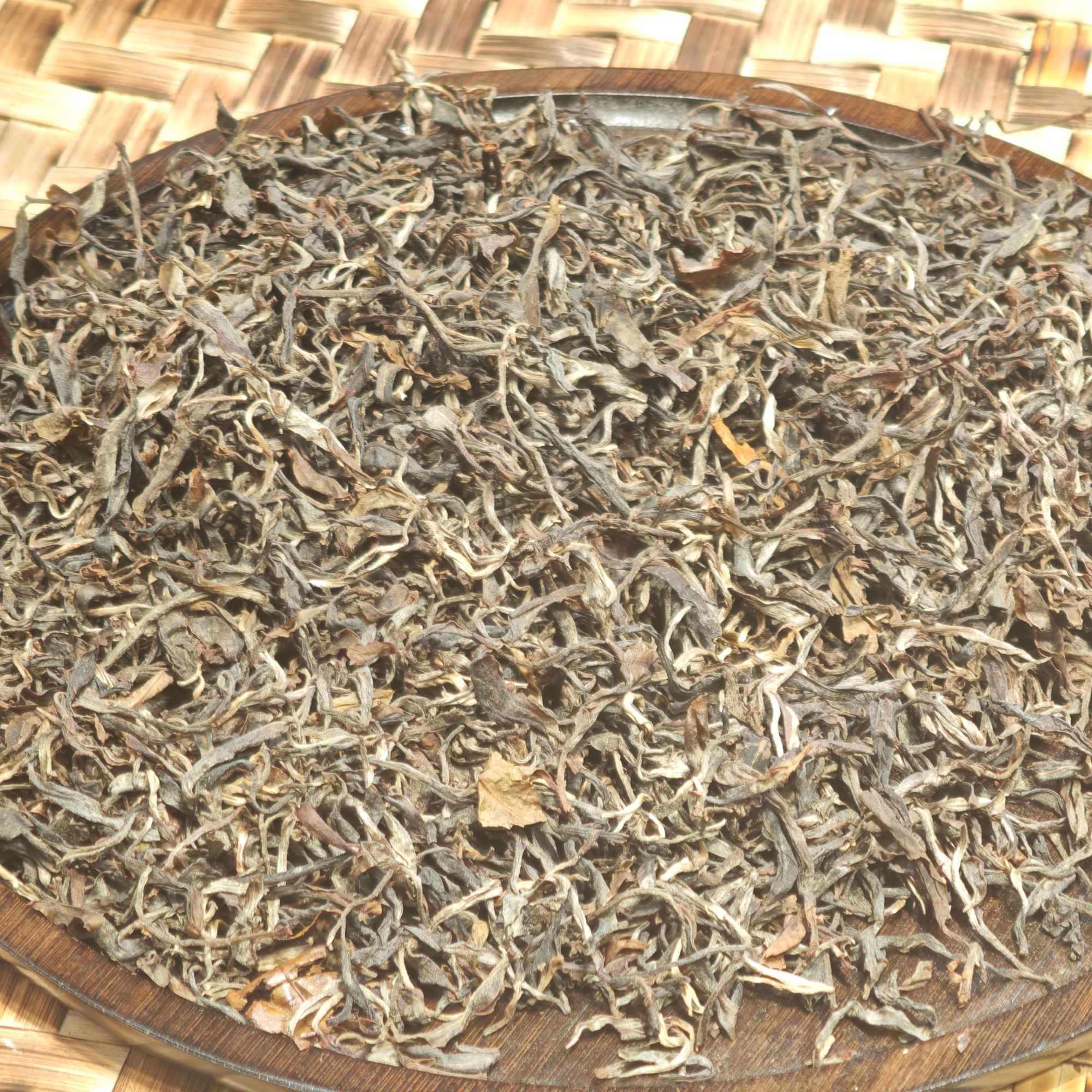 普洱茶 哆依树  6月17日 （73号） 散生茶