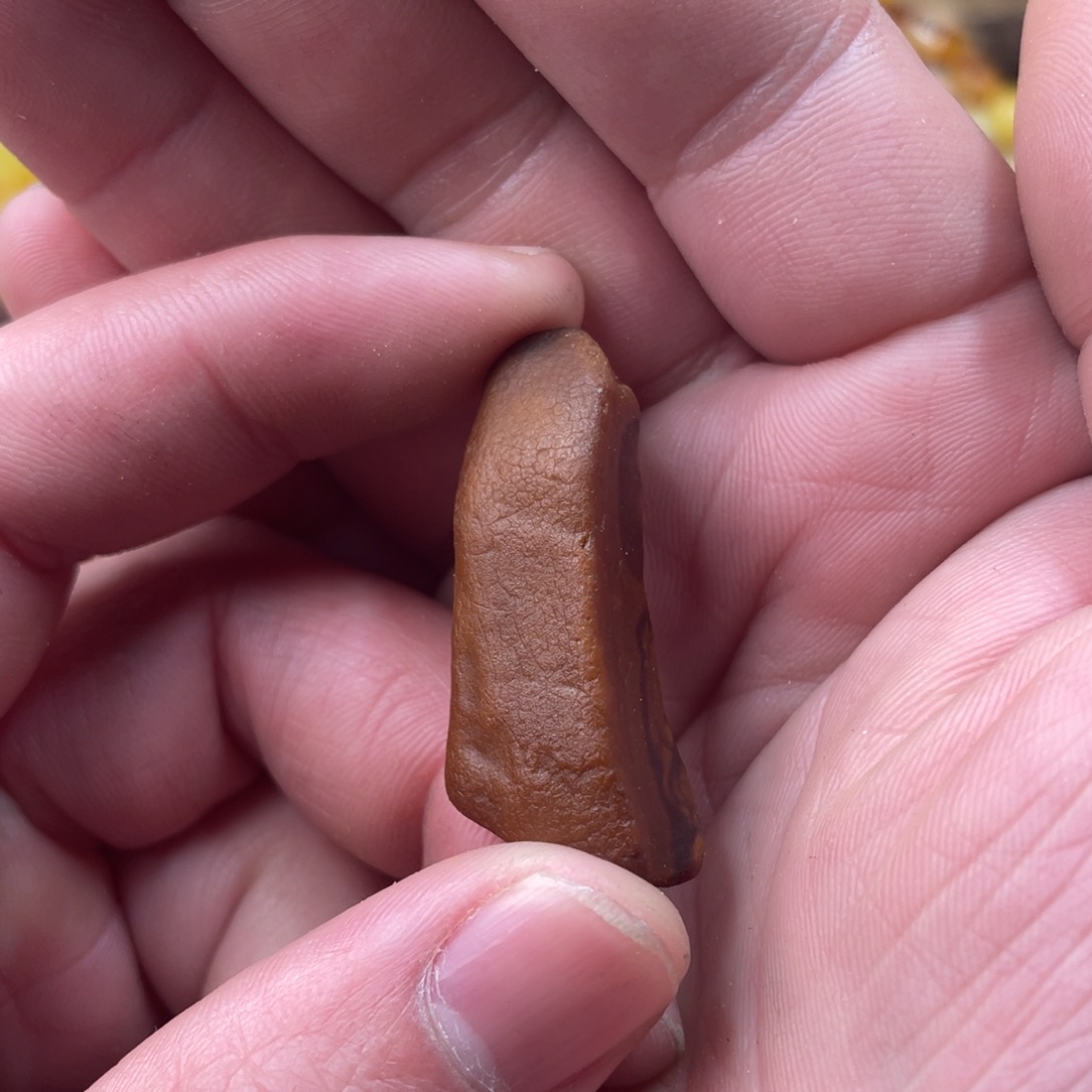 r***m定制琥珀未镶嵌蜜蜡订制牙