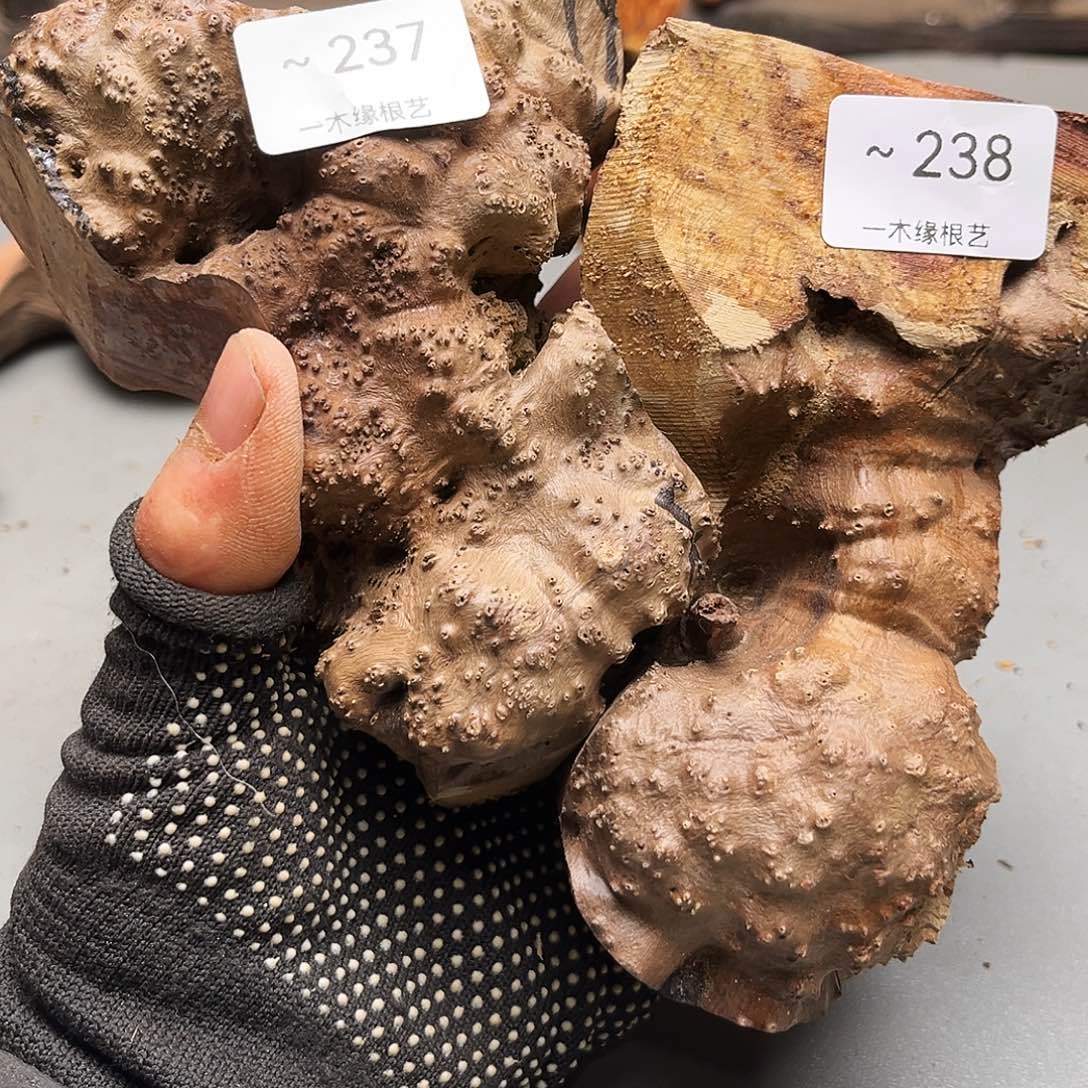 黑***娃无花朵0000000000237238