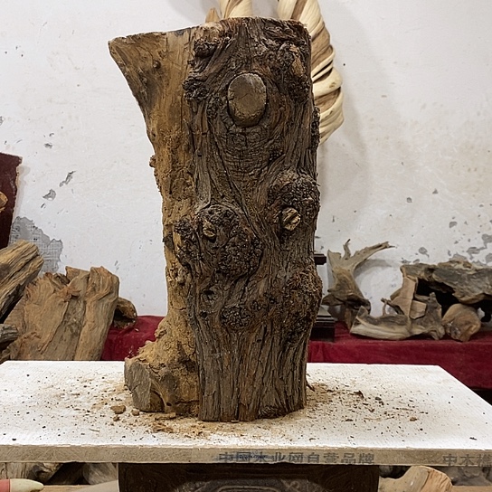 7***7柏木我们都是好孩子